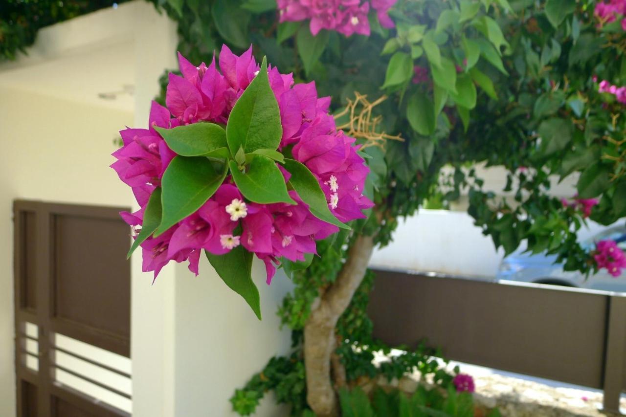 Maria & Manos Guest House, Agios Onoufrios Beach Екстериор снимка